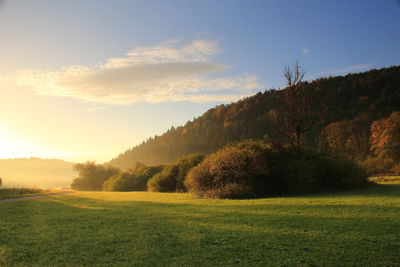 Scenic view of land against sky