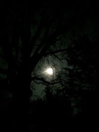 Low angle view of silhouette trees against sky at night