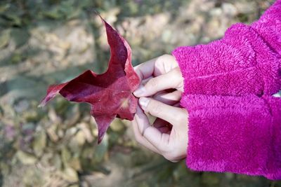 Close-up of hand holding maple leaf during autumn