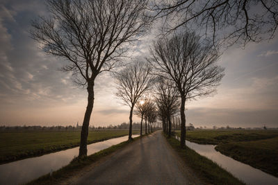 Road amidst bare trees on field against sky