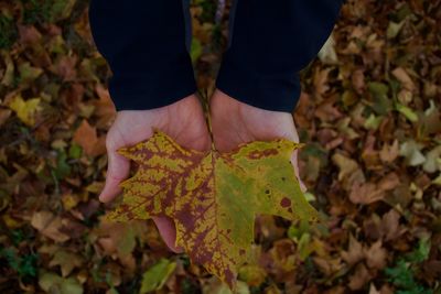 Low section of person standing on field during autumn
