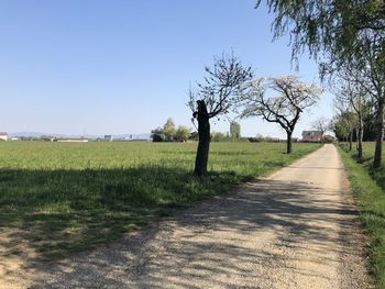 Road amidst field against clear sky
