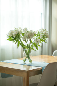 Potted plant on table at home