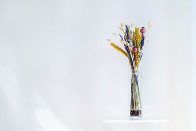 Close-up of vase on table against white background