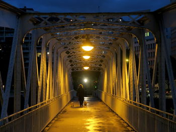 Rear view of person walking with dogs on bridge