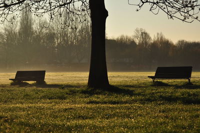 Empty bench on grassy field