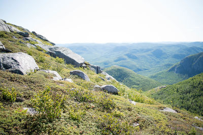 Scenic view of landscape against clear sky