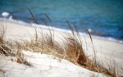 sand