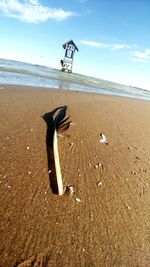 Dead bird on beach against sky