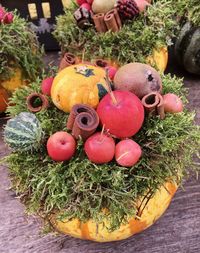 High angle view of pumpkins on potted plant