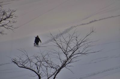 Low angle view of a bird on snow covered landscape