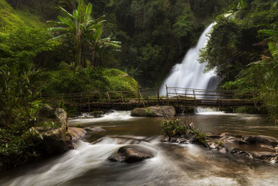 Water flowing over river in forest