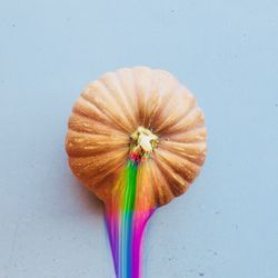 Close-up of flower against white background