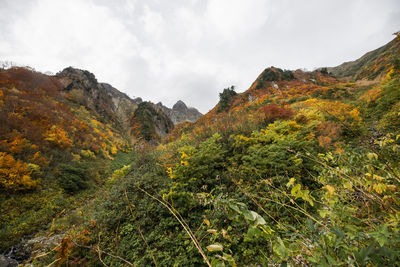 Scenic view of mountains against sky during autumn