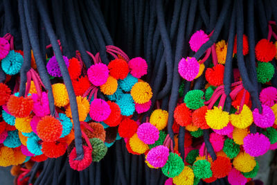 Close-up of multi colored flowers