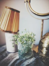 Close-up of potted plant on table