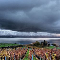 Scenic view of storm clouds over sea