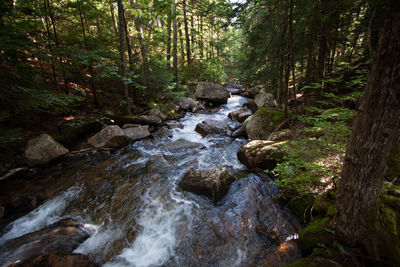 River flowing through rocks in forest