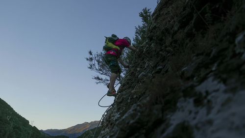 Low angle view of plant on rock against sky