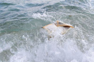 Book washed ashore