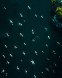 Aerial view of boats on sea