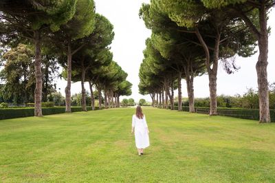 Rear view of woman walking on grassy field amidst trees at park