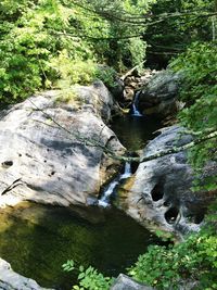 Stream flowing through rocks in forest