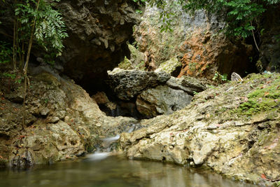 Water flowing through rocks amidst trees