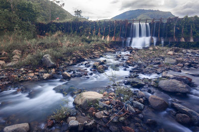 Scenic view of waterfall in forest