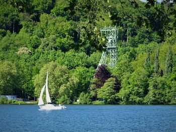 Scenic view of lake by trees in forest