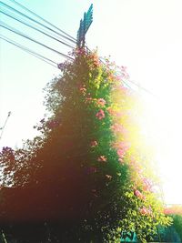 Low angle view of power lines against clear sky