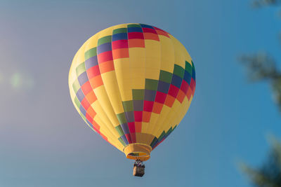 Colorful hot air balloon hovers in the blue sky. in the foreground coniferous trees. 