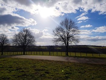 Bare trees on landscape against sky