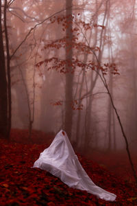 Rear view of woman in forest