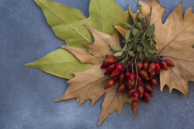 leaf
