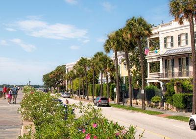 People on street by trees against sky