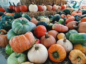 Halloween/colorful pumpkin display in the farm market