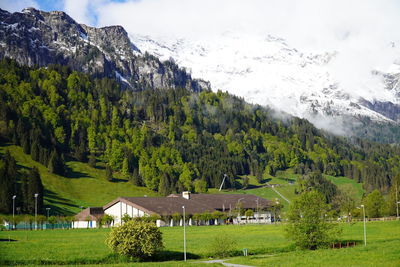 Scenic view of trees and houses on field against mountains