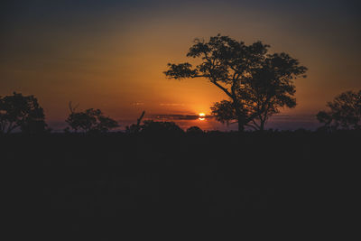 Silhouette trees on field against orange sky