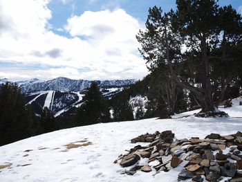 Trees on snow covered mountain against sky