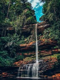 View of waterfall in forest