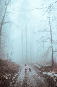 Rear view of people walking on road in winter