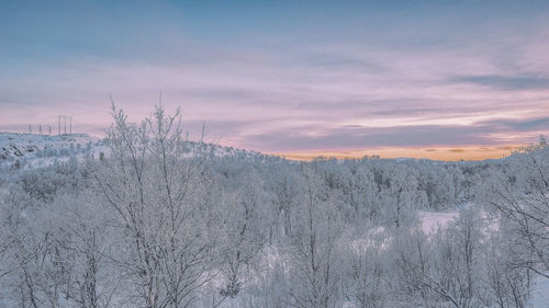winter