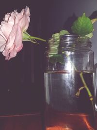 Close-up of rose in jar on table