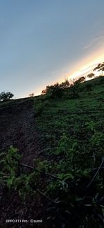 Scenic view of field against sky during sunset