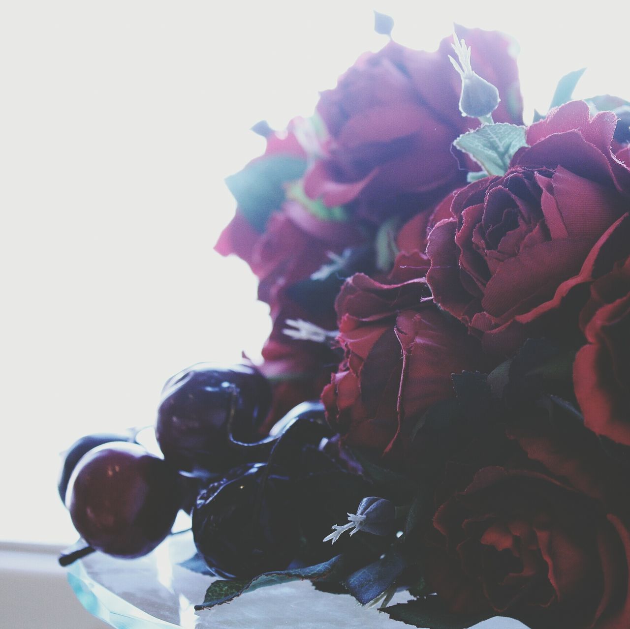 flower, rose - flower, close-up, freshness, studio shot, fragility, petal, red, indoors, copy space, white background, decoration, still life, no people, plant, nature, rose, flower head, beauty in nature, celebration