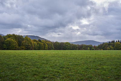 Scenic view of field against sky