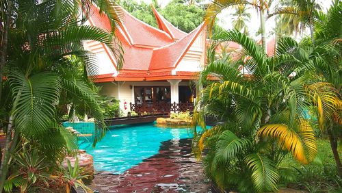 View of palm trees and buildings