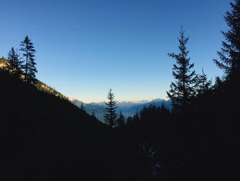 Silhouette trees against sky during sunset