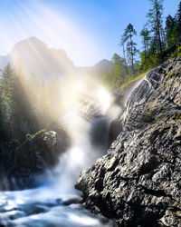 nature